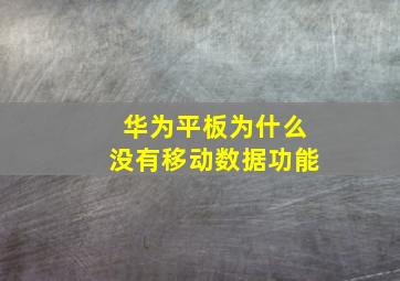 华为平板为什么没有移动数据功能