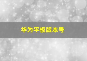 华为平板版本号