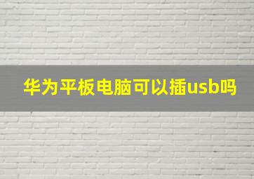 华为平板电脑可以插usb吗