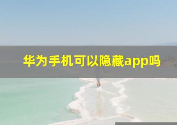 华为手机可以隐藏app吗