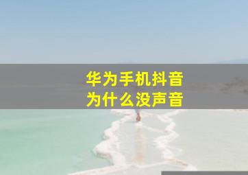 华为手机抖音为什么没声音