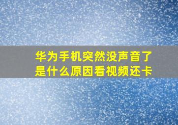 华为手机突然没声音了是什么原因看视频还卡