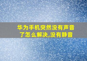 华为手机突然没有声音了怎么解决,没有静音