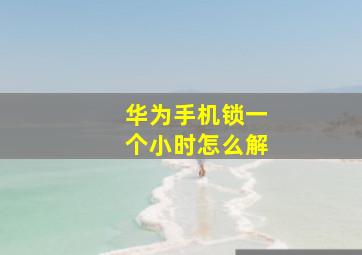 华为手机锁一个小时怎么解