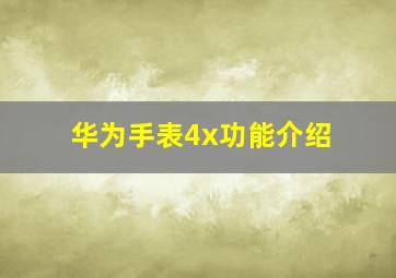 华为手表4x功能介绍