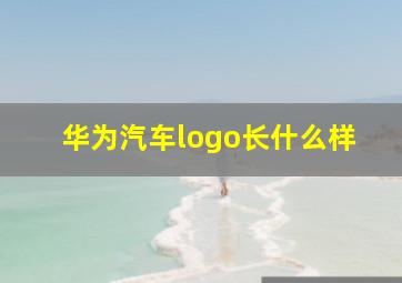 华为汽车logo长什么样