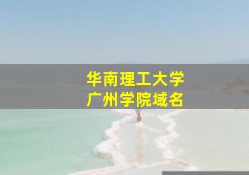 华南理工大学广州学院域名