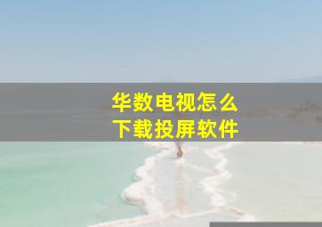 华数电视怎么下载投屏软件