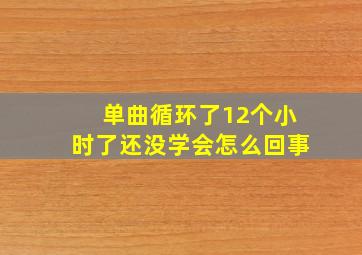 单曲循环了12个小时了还没学会怎么回事