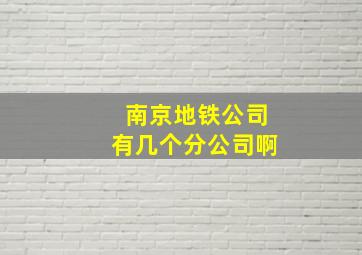 南京地铁公司有几个分公司啊