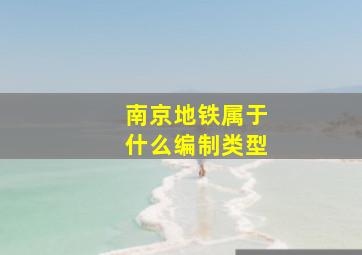 南京地铁属于什么编制类型