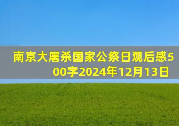 南京大屠杀国家公祭日观后感500字2024年12月13日