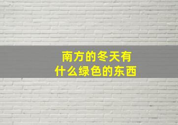 南方的冬天有什么绿色的东西