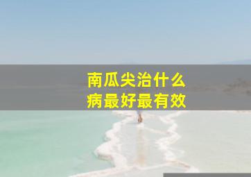 南瓜尖治什么病最好最有效