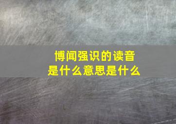 博闻强识的读音是什么意思是什么