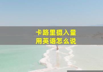 卡路里摄入量用英语怎么说