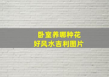 卧室养哪种花好风水吉利图片