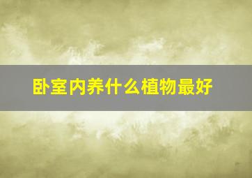 卧室内养什么植物最好