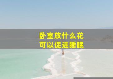 卧室放什么花可以促进睡眠