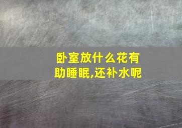 卧室放什么花有助睡眠,还补水呢