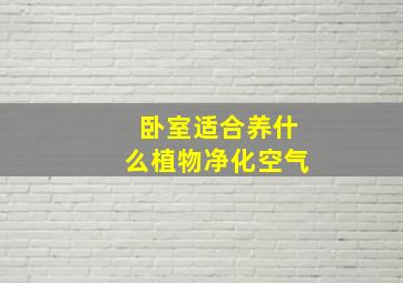 卧室适合养什么植物净化空气