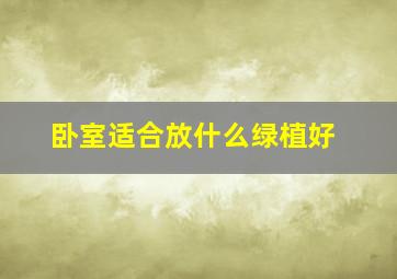 卧室适合放什么绿植好