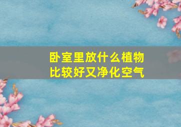 卧室里放什么植物比较好又净化空气