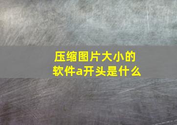 压缩图片大小的软件a开头是什么