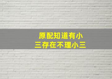 原配知道有小三存在不理小三