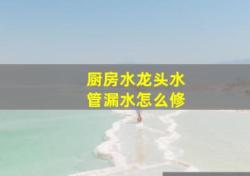 厨房水龙头水管漏水怎么修