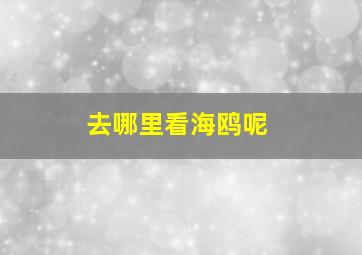 去哪里看海鸥呢