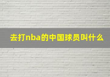 去打nba的中国球员叫什么