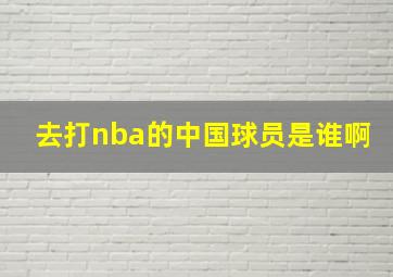 去打nba的中国球员是谁啊