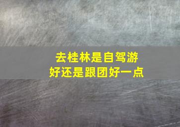 去桂林是自驾游好还是跟团好一点