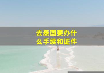 去泰国要办什么手续和证件