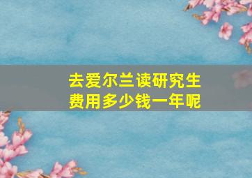 去爱尔兰读研究生费用多少钱一年呢