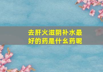 去肝火滋阴补水最好的药是什幺药呢