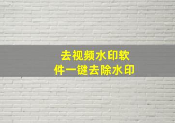 去视频水印软件一键去除水印