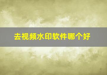 去视频水印软件哪个好