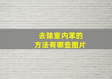 去除室内苯的方法有哪些图片