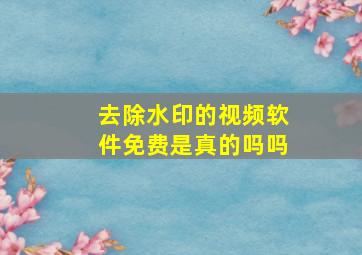 去除水印的视频软件免费是真的吗吗