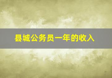 县城公务员一年的收入