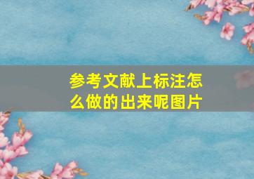 参考文献上标注怎么做的出来呢图片