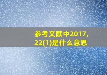 参考文献中2017,22(1)是什么意思