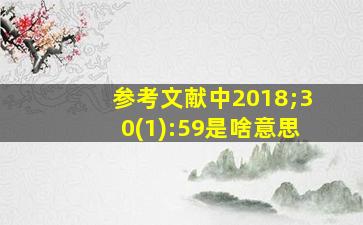 参考文献中2018;30(1):59是啥意思