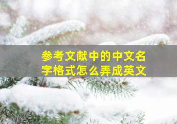 参考文献中的中文名字格式怎么弄成英文