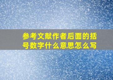 参考文献作者后面的括号数字什么意思怎么写