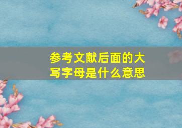 参考文献后面的大写字母是什么意思