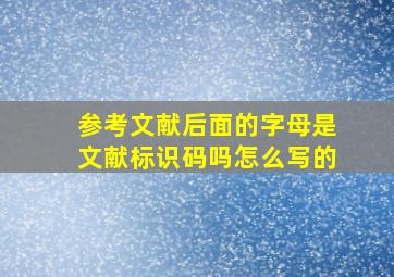 参考文献后面的字母是文献标识码吗怎么写的