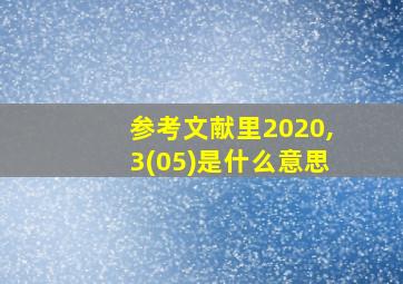 参考文献里2020,3(05)是什么意思